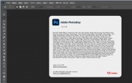 Adobe Photoshop 2024 绿色版 64位