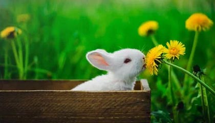 【服务器】Windows Server 2008 R2 HPC Edition with Service Pack 1 (x64) 